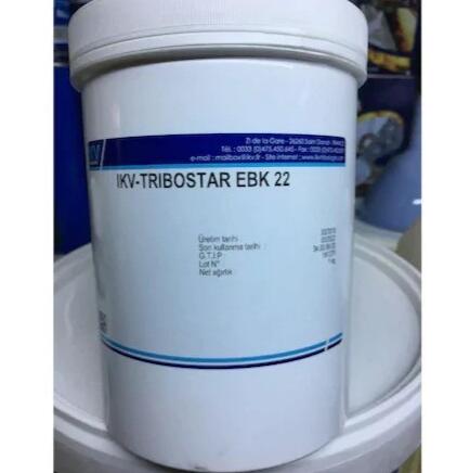 IKV-TRIBOFLON MYA 501.jpg