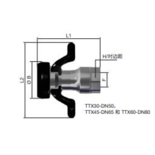 TTX65-DN100.1A5A.jpg